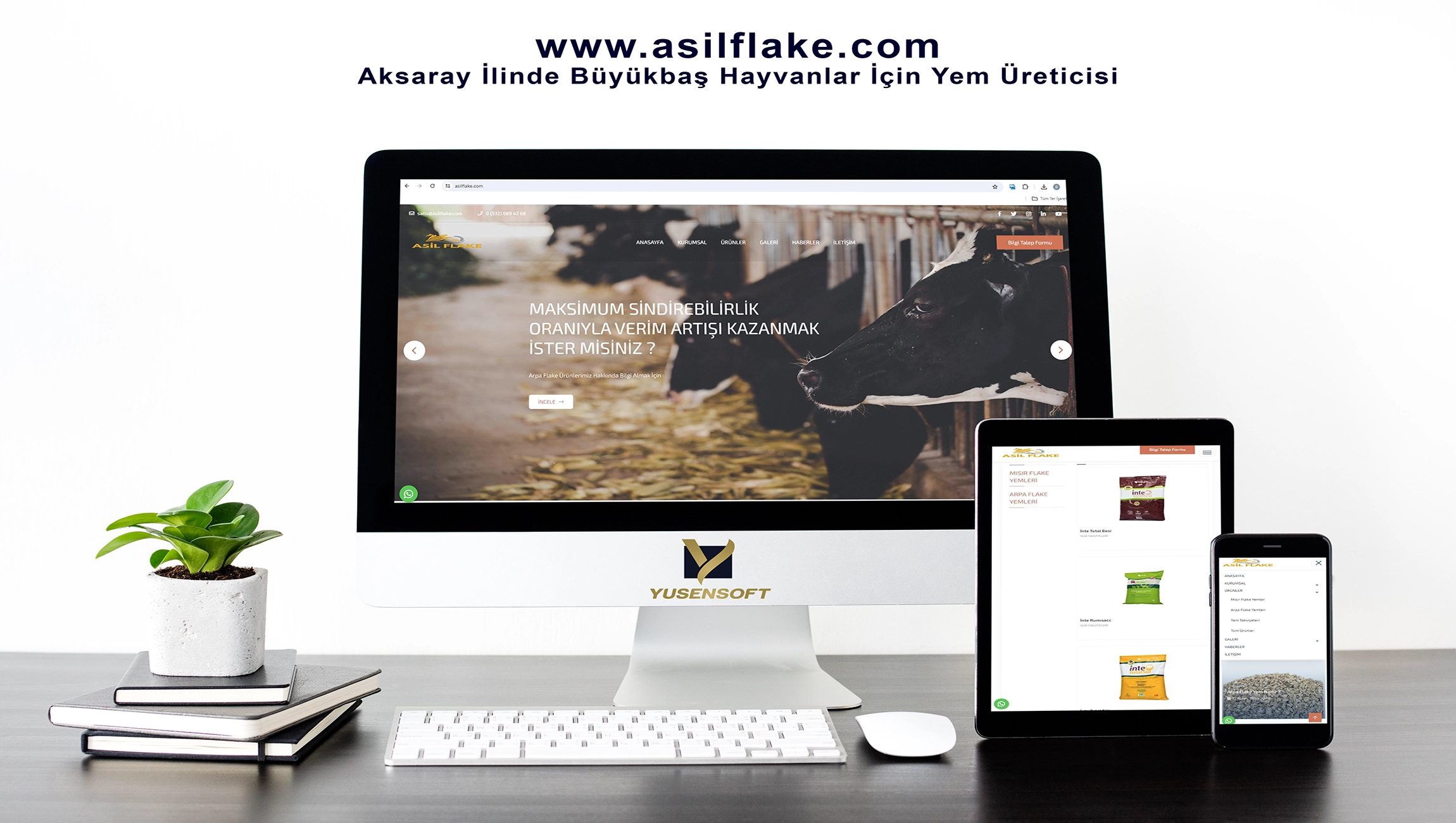 Web Sitesi Kurma: Başlangıç Rehberi